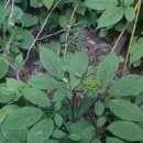 유정농장2 이미지