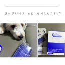우면동물병원 | 수의사가 개발한 6세대 프로바이오틱스 닥터얼라이브 프로바이오틱스 6.0 급여 후기