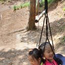 봉산어린이집 이미지