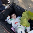 세븐일레븐 서울대공원입구점 | 서울대공원 동물원 전동웨건 유모차 대여시간 금액 및 위치장소 안내