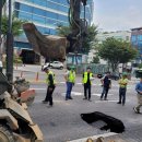 강남-032 이미지