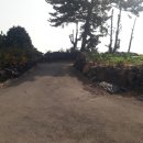 효돈로,일주동로 이미지