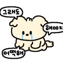 스킨호프 네이버블로그