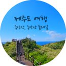제주 송악산 외륜 일제동굴진지 | [제주도 여행] 송악산, 송악산 둘레길