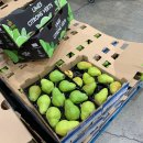 한남마트 | 캐나다 버나비에서 H마트(한남수퍼마켓), 코스트코 구경 후기 (영양제 가격)