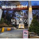 백마공원 화장실 | [인천 미추홀구] 가족 벚꽃 나들이 - 수봉산 공원.