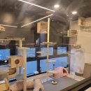 아이조아요양보호소 전남광주점 이미지