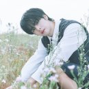 세림 이미지