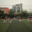 양진초등학교 이미지