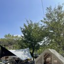 [5살, 첫 캠핑, 8/19~8/20] 파주 ‘느티나무그늘아래캠핑장’ 두팀단체