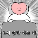 알파우먼 네이버블로그