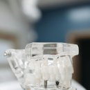 송담 M플란트치과의원 이미지