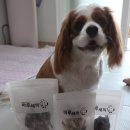 마루세끼 이미지