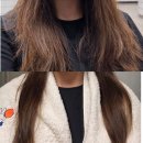 손상모인데 무거운 컨디셔너 싫다면? 에브리데이 폼폼 말차 컨디셔너 사용후기