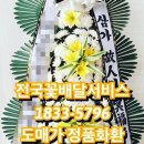 엠마오사랑병원 이미지