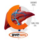 건강세상골드 | 지친 일상에 활력을 불어넣어 주는 대웅생명과학 마시는 알부민 8899 프리미엄 골드 60개입 후기