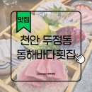 동해바다회 | 천안 두정동 동해바다횟집 모둠회+해물찜 부부데이트 후기