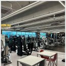 웰니스핏 이미지