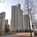 닥터정치과의원 이미지