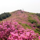 봉화산 티스토리