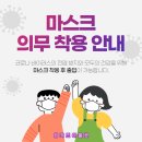 소이주니어.리틀밥독