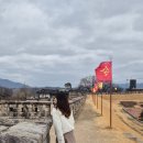 웅이네 인형공장 | 대구 근교 당일치기 여행 추천! 청도읍성부터 카페 버던트, 프로방스까지 알찬 코스 (feat. 아보카도 맛집)