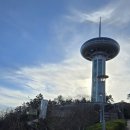 완도읍-15 | 완도 유치원생 아이랑 가볼만한곳 완도타워 완도 모노레일