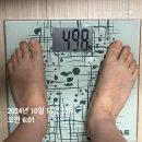 (바디프로필D-77) 1:1 PT 36회차 하체(리버스 브이스쿼트/시티드 레그프레스/레그 익스텐션)+마이마운틴...