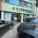 목동찬동물의료센터 | 양천구 목동 하니동물의료센터 고양이 중성화 수술 잘하는곳