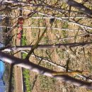 우환농장 이미지