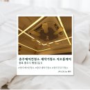 행정2길 | [충주] 충주 상가건물 천장형에어컨 분해청소 지오홈케어 솔직후기