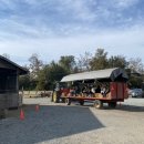 내단농장 | 아임소피 2022 Rondriso farms 펌킨패치 후기