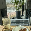 레몬노래연습장 이미지