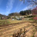 연곡리 농장 이미지