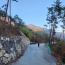 진호솔라 이미지