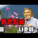 붉은입술-나훈아 임영웅 이미지