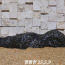 영평천석 이미지