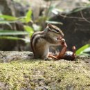 상천리-3 이미지