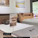 합리적인 가격 최고의 품질 금성침대 동김해점 부산좌천점