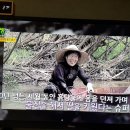 육지&해녀 이미지