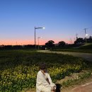 괴산군농업기술센터 화장실 | 청주효촌 꽃놀이 유채꽃, 이팝나무 명소 청주데이트하기 좋은 곳(애견가능) 무심천산책길 * 농업기술센터