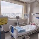 서울대본병원 | 고알데스테론증 부신에 혹 분당서울대병원 입원검사 후기