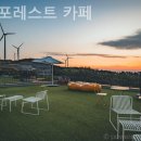 리브포레스트 풀빌라 이미지