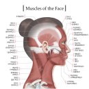 미다스한의원 이미지