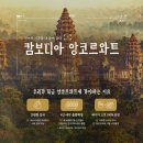 신성관광여행사 이미지