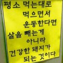 47이끌의원 이미지