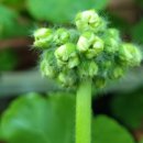 엠마누엘농장 이미지