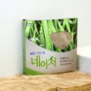네이처그라스