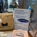 진켈란젤로