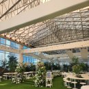 돈블랑 부산 해운대점 (주)신화푸드 | [부산 야외웨딩홀 후보 5] 야외웨딩에 로망있는 성격급한 J예신 | 돌고돌아 그랜드블랑